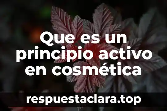 Que es un principio activo en cosmética