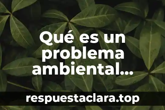 Qué es la educación ambiental definición 7 Qué es un problema ambiental urbano