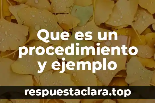Que es un argumento un ejemplo 7 Que es un procedimiento y ejemplo