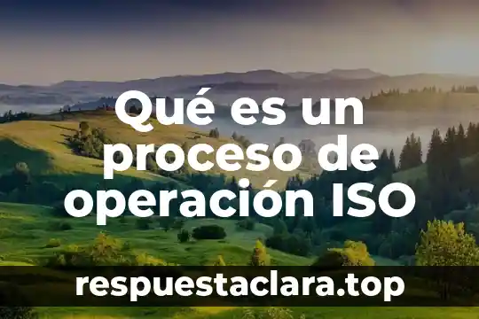 Que es compensr una operacion contabilidad 8 Qué es un proceso de operación ISO