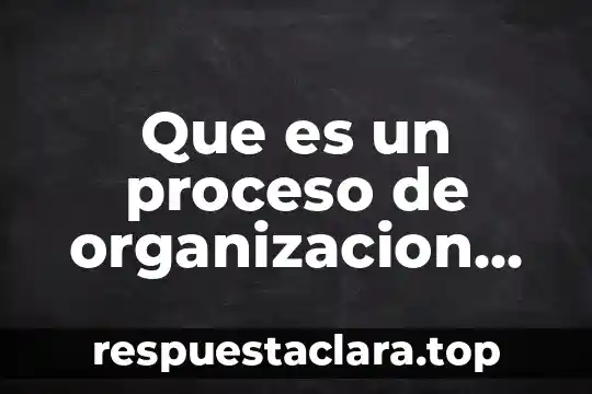 Que es un proceso de organizacion definicion