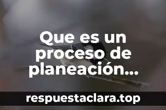 Que es un proceso de planeación exitoso