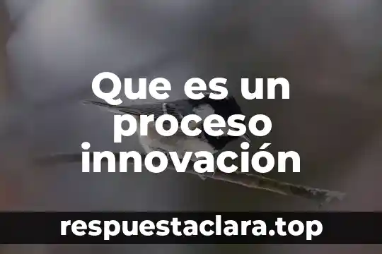 Qué es el patrimonio de un comerciante 6 Que es un proceso innovación