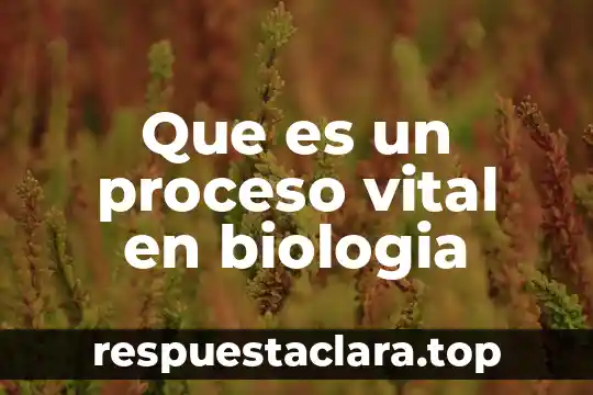 Que es el nacionalismo en el arte 8 Que es un proceso vital en biologia