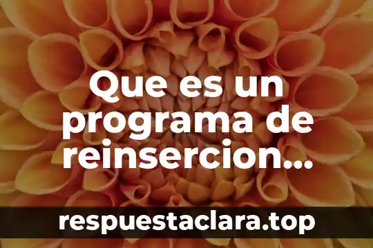 Que es un programa de reinsercion social en chihuahua