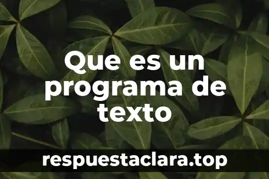 Que es un texto biográfico en investigacion 8 Que es un programa de texto