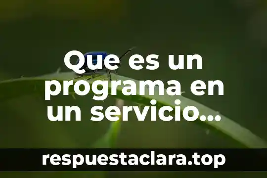 The social dept com que es espanol latino online 8 Que es un programa en un servicio social