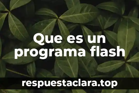 Que es un programa flash