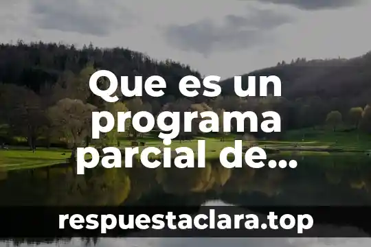 Que es la relacion parcial de inventarios etiquetas de inventarios 5 Que es un programa parcial de desarrollo urbano