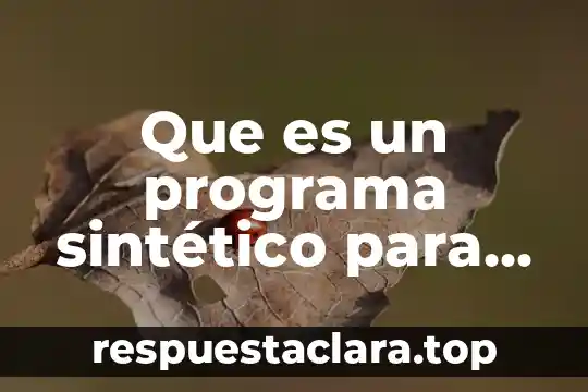 Que es un programa sintético para el estudiante