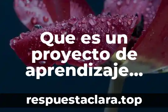 Que es la historia primaria 3 Que es un proyecto de aprendizaje primaria