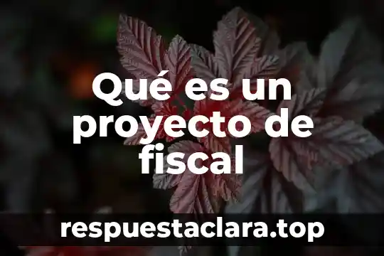 Qué es un proyecto de fiscal