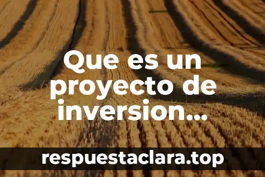Que es un proyecto de inversion ambiental
