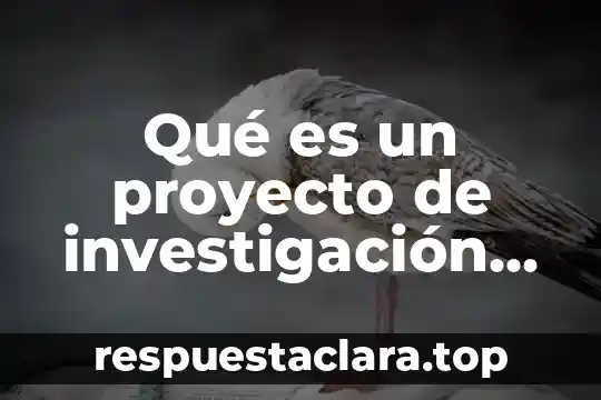 Que es familias ciberseguras 6 Qué es un proyecto de investigación social según autores