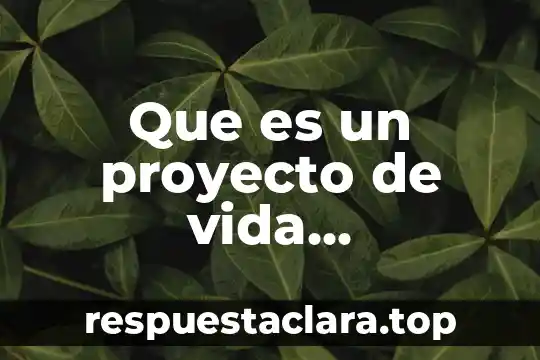 Que es un proyecto de vida introduccion