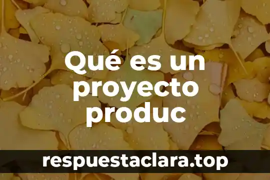 Qué es un proyecto produc