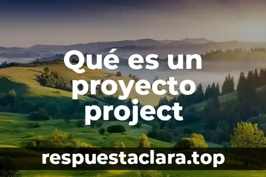 Qué es un proyecto project
