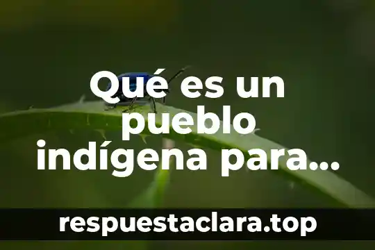 Qué es un pueblo indígena para niños