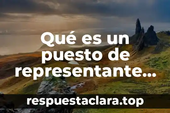 Qué es un puesto de representante social político