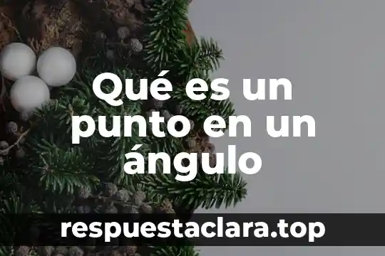 Qué es un punto en un ángulo