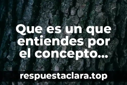Que es un que entiendes por el concepto textual