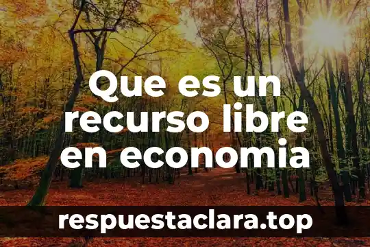 Que es un recurso libre en economia