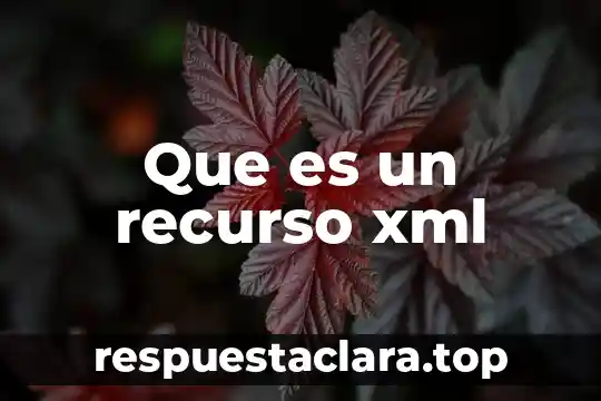 Que es xml en contabilidad tesis 6 Que es un recurso xml