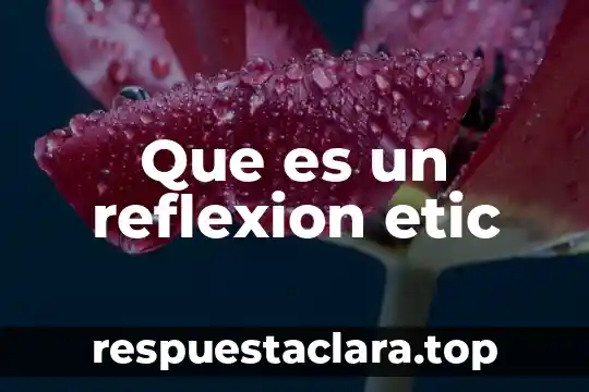 Que es un reflexion etic