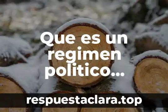 Que es un regimen politico resumen