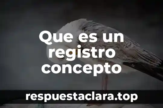 Que es un registro concepto