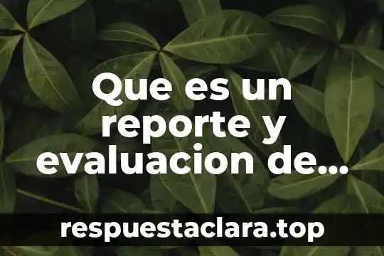 Que es un reporte y evaluacion de resultados