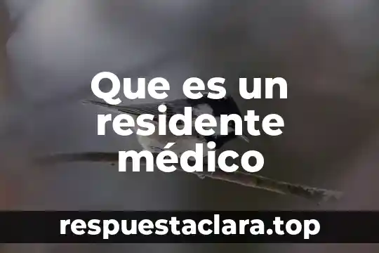 Que es un consorcio medico 6 Que es un residente médico