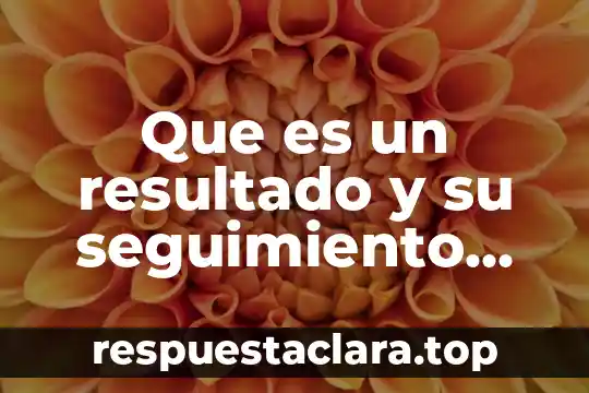 Que es un resultado y su seguimiento concepto