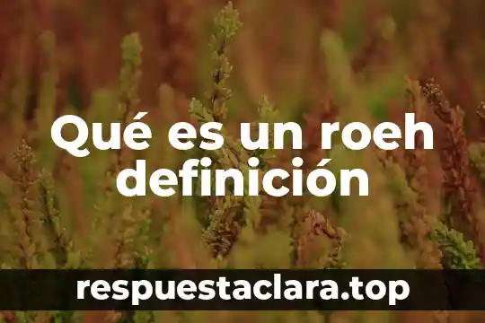 Qué es un roeh definición