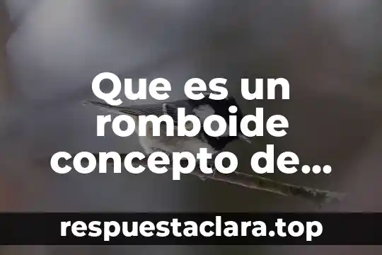 Qué es una asamblea concepto 4 Que es un romboide concepto de primaria