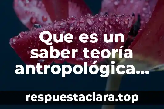 Que es un saber teoría antropológica de lo didáctico chevallard