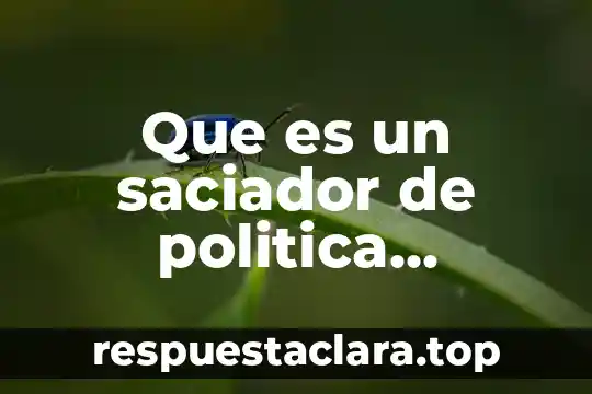 Que es un saciador de politica exterior
