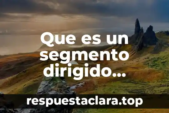 Que es un segmento dirigido ejemplos