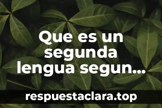 Que es el pensamiento formal segun piaget 5 Que es un segunda lengua segun suniga vigal