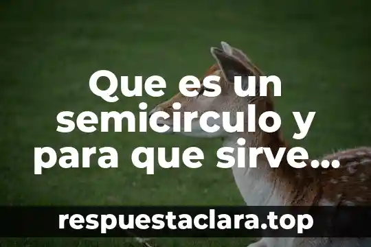 Que es un semicirculo y para que sirve en matemáticas