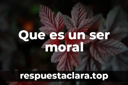 Que es un ser moral