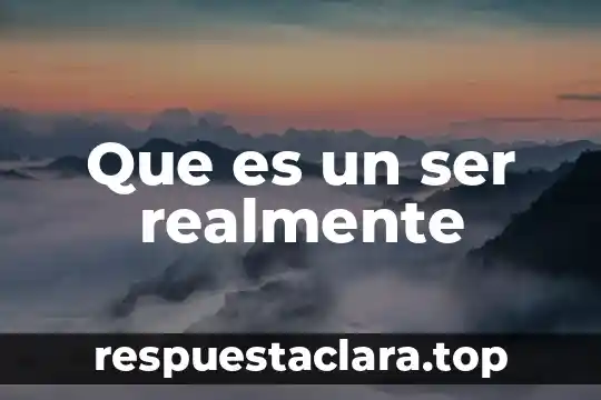 Que es un ser realmente