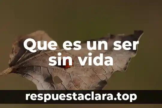 Que es un ser sin vida