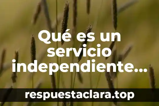 Qué es un servicio independiente por comisión