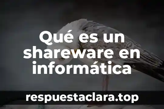 Qué es un shareware en informática