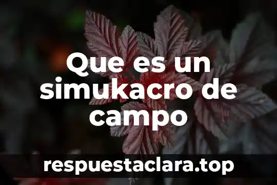 Que es un registro de campo usuario hw 8 Que es un simukacro de campo