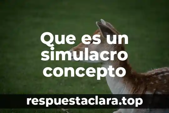 Que es un simulacro concepto