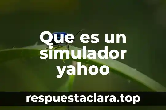 Que es el usuario general de la contabilidad 8 Que es un simulador yahoo