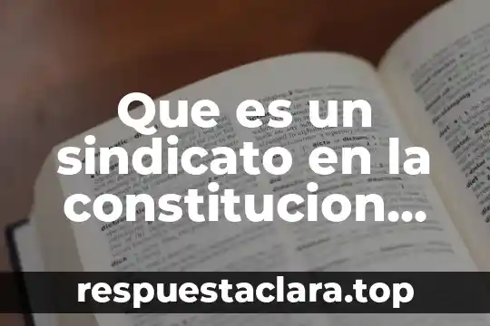 Que es un sindicato en la constitucion mexicana