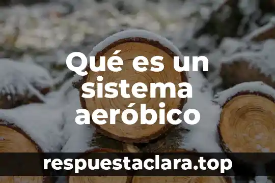 Qué es un sistema aeróbico
